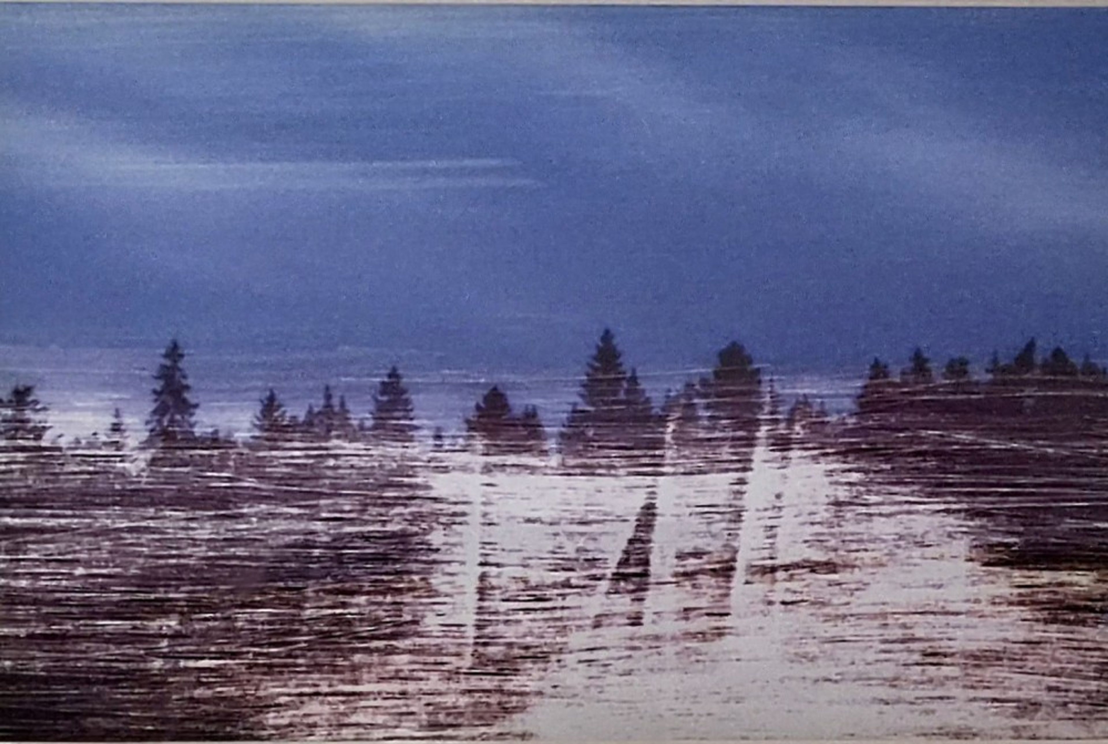 Ältensee (nach dem Sturm)