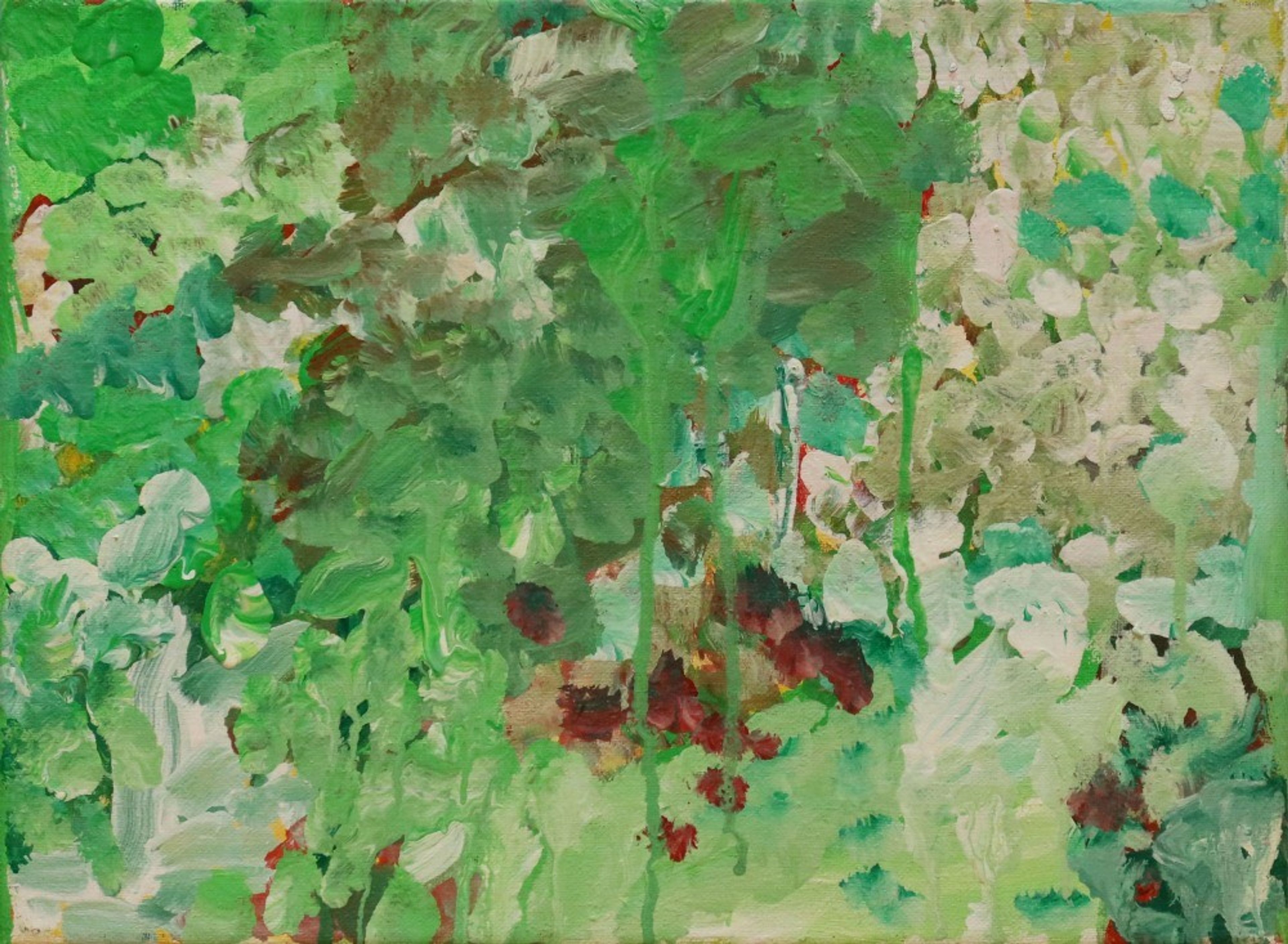 Kornblumen