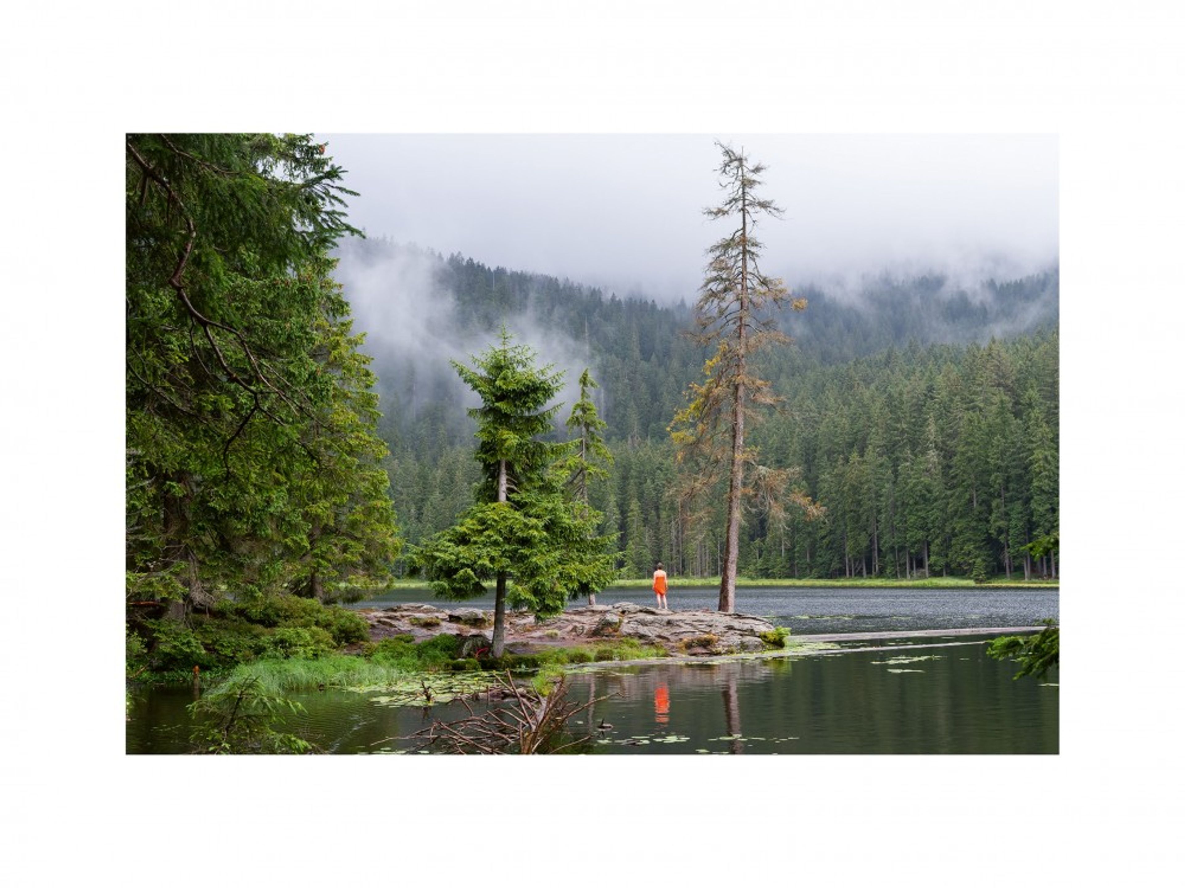 "Arbersee", aus der Serie "Rot und Wald"