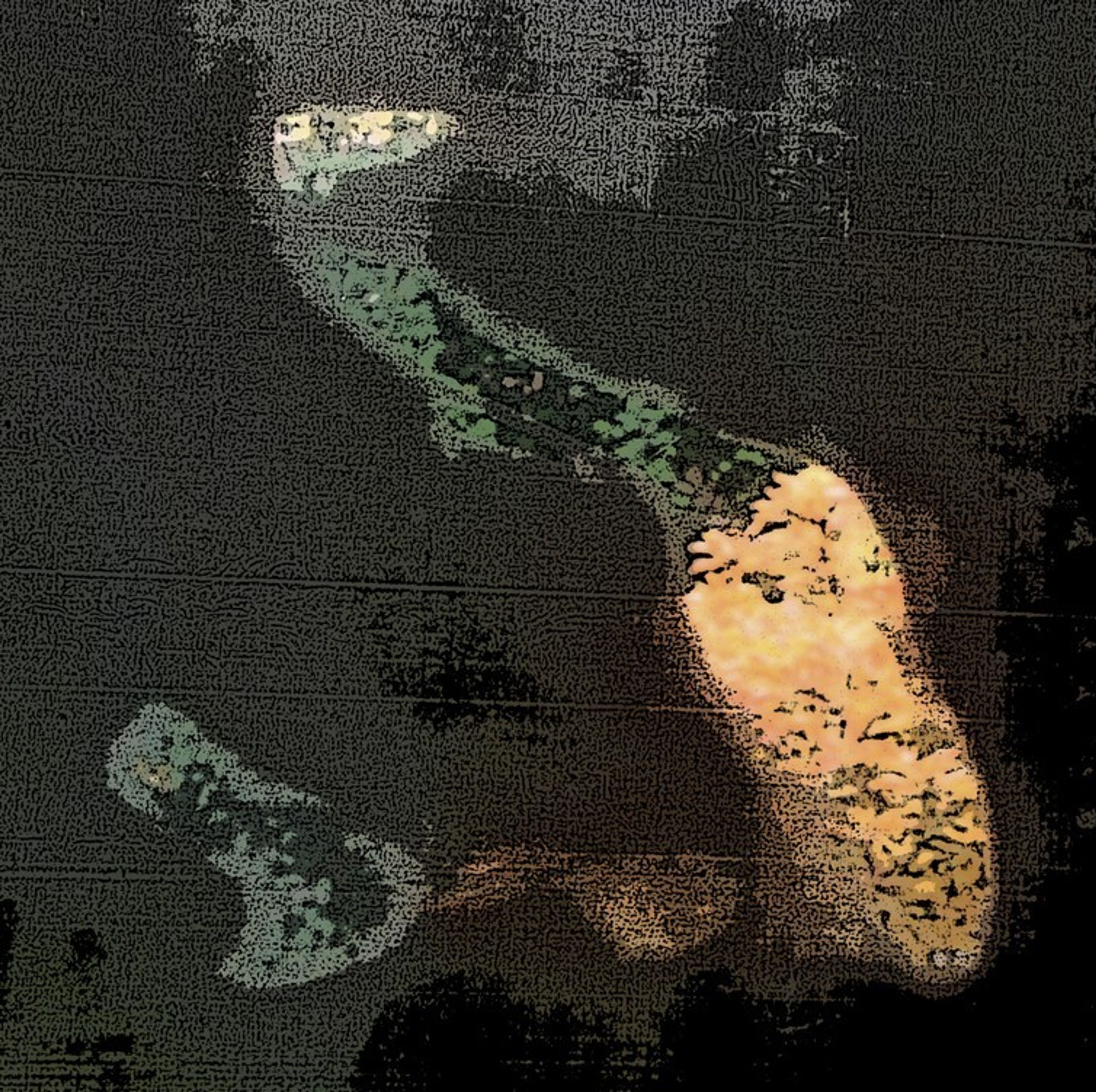 Symbiotisch